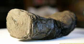 Giải mã cuộn giấy cổ ở núi lửa Vesuvius bằng công nghệ mới