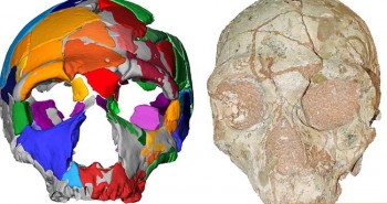 Hộp sọ người hiện đại lâu đời nhất ngoài châu Phi