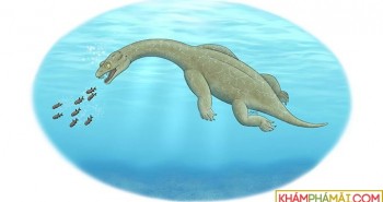 Phát hiện hóa thạch bò sát biển "kỳ dị" 240 triệu năm tuổi
