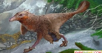 Argentina phát hiện hóa thạch khủng long ăn thịt niên đại 83 triệu năm