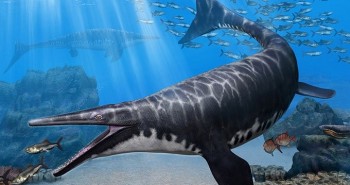 Hóa thạch 66 triệu năm tuổi tiết lộ quái vật biển mới