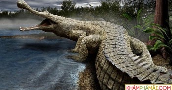 Sinh vật giống cá sấu dài gần 6 mét từng bị chặt đầu dã man đến tuyệt chủng