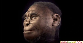 Loài Hominids sống khoảng 18.000 năm trước có thể vẫn còn tồn tại
