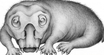 Động vật cổ đại đã biết “ngủ đông” cách đây 250 triệu năm