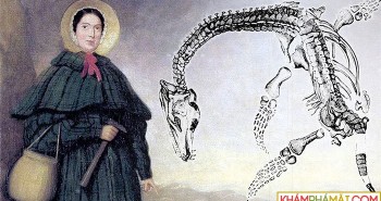 Cuộc đời của Mary Anning: Nhà cổ sinh vật học nữ đầu tiên