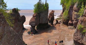 New Brunswick - Nơi khách du lịch có thể gặp "quái vật khổng lồ thời tiền sử"
