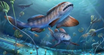 "Tái sinh" quái ngư răng cánh hoa 290 triệu tuổi, tổ tiên "bóng ma đại dương"