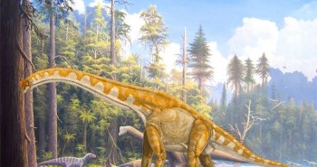 Phát hiện bộ xương khủng long khổng lồ có tuổi thọ 70 triệu năm