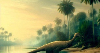 Nhật Bản phát hiện hóa thạch "đà điểu lai khủng long" 121 triệu tuổi