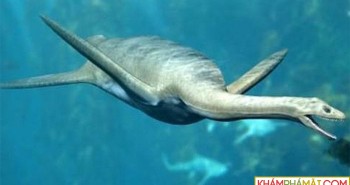 Phát hiện hài cốt "thằn lằn đầu rắn" chưa từng biết, 67 triệu tuổi