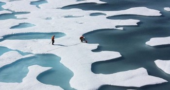Tại sao băng biển tinh khiết như nước ngọt trong khi đại dương lại mặn?
