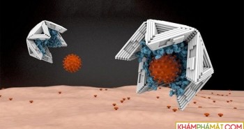 "Bẫy" kích thước nano vô hiệu hóa virus truyền nhiễm
