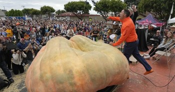 Quả bí ngô 1,2 tấn lập kỷ lục nặng nhất thế giới