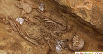 Phát hiện bộ xương 6.000 năm tuổi còn nguyên vẹn dưới công trường xây dựng
