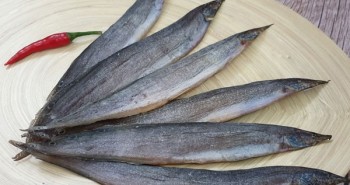 Có một loại cá được ví như "nhân sâm dưới nước", rất sẵn ở Việt Nam