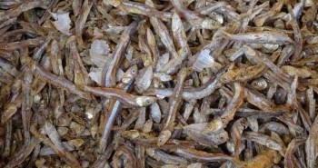 Tìm thấy hạt vi nhựa trong cá khô ở nhiều nước châu Á