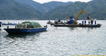 Trung Quốc: Đập thủy điện xả lũ, bội thu 25.000kg cá mè hoa