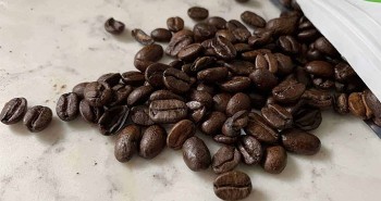 Loại cà phê độc lạ được làm từ phân chim, có giá khoảng 1.700 USD/kg