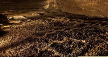 Cấu trúc "100.000 binh sĩ" trong hang động Pháp