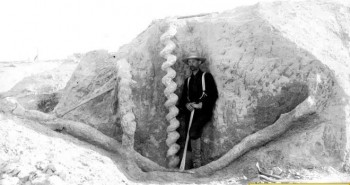 Ai là người đã làm ra "cái vặn nút chai của quỷ" cao hơn hai mét này từ hàng triệu năm trước?