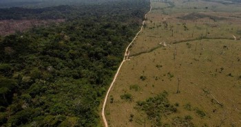 Sau khi hết Covid-19, rừng Amazon sẽ là nguồn lây nhiễm virus corona kế tiếp và lỗi hoàn toàn nằm ở con người