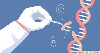 Kỹ thuật chỉnh sửa gene CRISPR của Nhật Bản đã đạt tới độ "chính xác tuyệt đối"