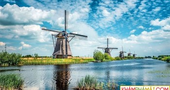 Giải mã chiều cao vượt trội của người Hà Lan