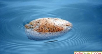 Khám phá loại đá có thể tự nổi trên mặt nước biển