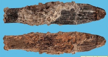 Tìm thấy dao 90.000 năm tuổi được chế tác tinh xảo tại Bắc Phi