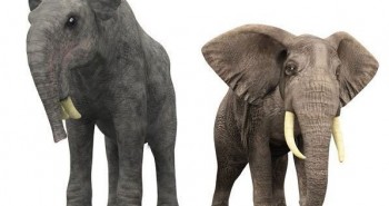 Sự thật là tổ tiên của voi và tê giác cổ đại có vẻ ngoài "quái dị" hơn ngày nay nhiều!