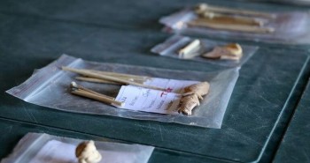 Phát hiện hàng loạt đồ tạo tác từ xương dê 2.500 năm tuổi