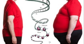 Phát hiện một loại gene giúp bạn "ăn mãi không béo"