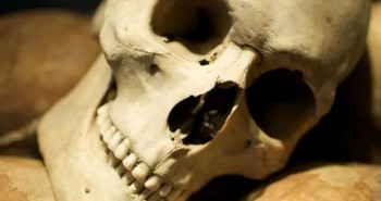 Vì sao người cổ đại thường có hàm răng thẳng, răng khôn mọc chuẩn chỉnh?