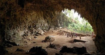 Loài người cổ đại có thể vẫn còn sống trên đảo Flores của Indonesia