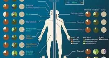 Điều gì ảnh hưởng đến hệ vi sinh vật của cơ thể người?