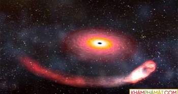 Sóng hấp dẫn nghi do hố đen nuốt chửng sao neutron phát ra