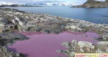 Ao nước giữa Nam Cực chuyển thành màu tím, các nhà khoa học vẫn chưa hiểu tại sao