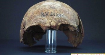 Phát hiện hộp sọ 5.000 năm tuổi của người đầu tiên từng nhiễm bệnh dịch hạch