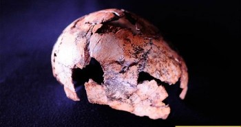 Phát hiện hóa thạch người đứng thẳng lâu đời nhất