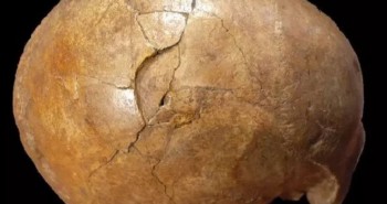 Romania: Hộp sọ 33.000 năm tuổi bị nứt vỡ hé lộ câu chuyện đáng sợ