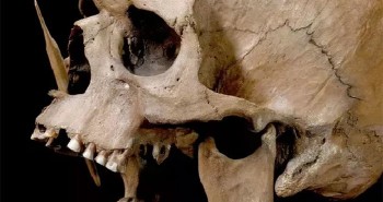 DNA cổ đại tiết lộ về cuộc diệt chủng bi thảm trong quá khứ loài người