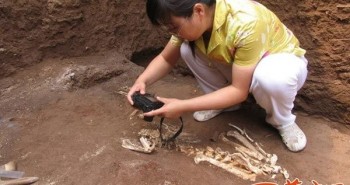 Cổ vật 16.560 năm tuổi tiết lộ sự hiện diện sớm nhất của con người ở châu Mỹ