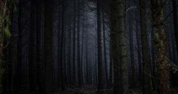 Thuyết "Khu rừng đen tối" và tại sao chúng ta vẫn chưa tìm thấy người ngoài hành tinh