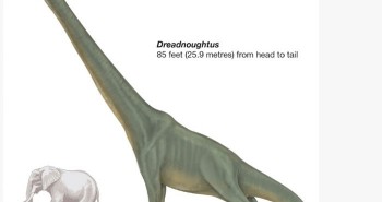 Top 8 loài khủng long lớn nhất Trái đất thời tiền sử