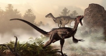 Top 9 loài khủng long nguy hiểm nhất thời tiền sử, khủng long bạo chúa vẫn còn hiền chán