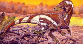 Phát hiện chấn động: Tìm thấy dấu chân khủng long hơn 225 triệu năm tuổi ở Thái Lan
