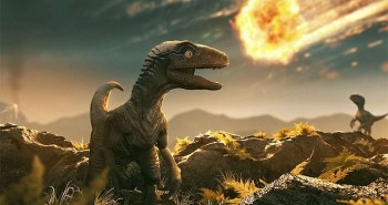 Tại sao khủng long thống trị Trái đất hơn 100 triệu năm lại không sinh ra trí tuệ như loài người?