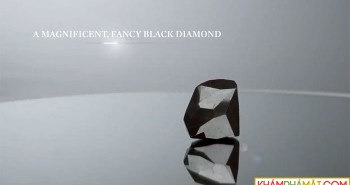 Viên kim cương đen lớn nhất thế giới
