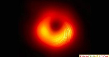 Nghiên cứu ánh sáng phát ra từ các lỗ đen giúp thu hẹp tìm kiếm axion