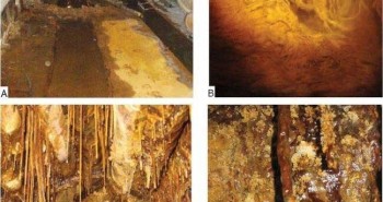 Tìm thấy các dạng sống "ngoài hành tinh" trong một mỏ Uranium bị bỏ hoang ở Đức